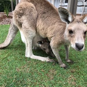 Meet your Posher, Courtney